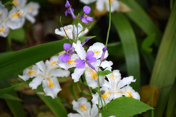 1月棉纺织企业调查报告：纺织需求持续好转 纱线库存压力下降