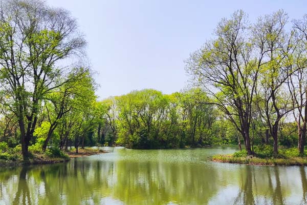 标准发布 | 《皮革和毛皮 化学试验 挥发性甲基环硅氧烷残留量的测定》国家标准外文版获批发布
