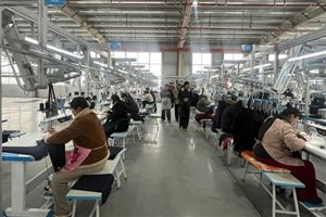 封丘县陈桥镇：巧借东风 与时装行