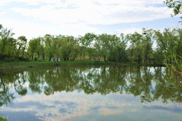 2025年我国服装电商行业运行分析